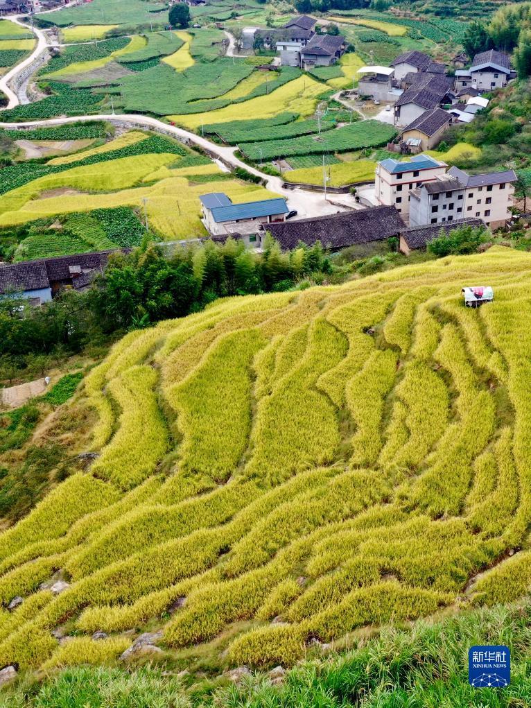 新游游戏厅